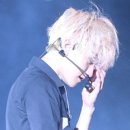 BLOSSOM 20 이미지