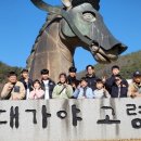 수룡관 박사 합기도 이미지
