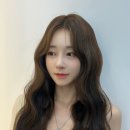 로즈레인 이미지