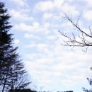 금강송테마전시관 이미지