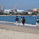 일산해수욕장 이미지