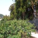 서홍동-10 이미지