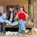 야옹이네 이미지