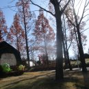 국가정원(동문) 이미지