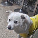 성호카센타 이미지