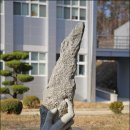 영남대학교 미대 이미지