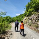 평원애견 이미지