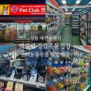 펫클럽강릉