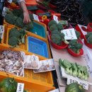 말바우 농장 이미지