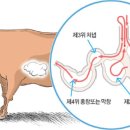 대통양대창 이미지