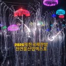 중앙광장 상설무대 | 제천축제 2025 제천국제한방 천연물산업엑스포 9/20~10/19 제천 아이와 가볼만한 곳