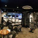 레몬트리짐 이미지