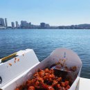 북청닭강정 | 속초 중앙시장 닭강정 찐맛집 내돈내산 비교 북청닭강정 택배