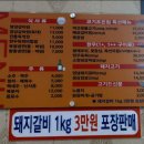 코기조은집 이미지