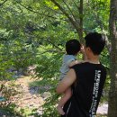 로뎀나무 | 구례 물놀이 계곡 평상 대여 로뎀나무 후기