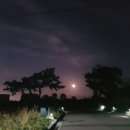 주리sea협재 이미지