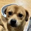 대산면 금강마을 이미지