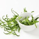 뮤지컬 이상한 나라의 춘자씨 이미지