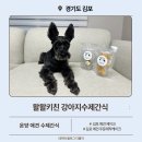 퐁네프베이커리 | 김포 애견 수제간식 전문점 추천 운양동 왈왈키친 방문 후기