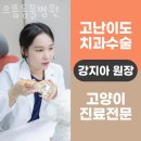 으뜸동물병원 이미지