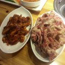외대갈매기 이미지