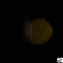 백현 동물병원 이미지