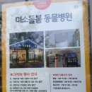 미소돌봄동물병원 이미지