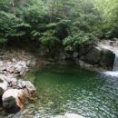 진동 계곡 민박 이미지