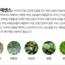 이명헤어