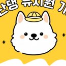신난댕 애견유치원 이미지