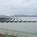 대호2호 태양광발전소 이미지