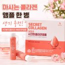 뷰트리 - 사상구 모라로192번길 9 | 마시는 콜라겐 추천, 액상으로 간편한 뷰트리 시크릿 콜라겐 앰플 후기