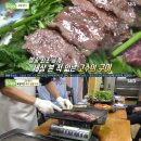 육향 티브이데일리