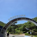 무궁화정비 | 보령 여행 초록빛 힐링 가득한 '보령 무궁화 수목원' 방문 후기 (전시온실, 목재문화체험장)