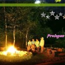 올림픽펜션 이미지