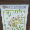 단풍숲캠핑장 이미지