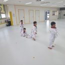 세종의 아침 태권도(나성관) 이미지