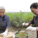 코끼리밥상 이미지