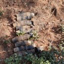 동부환경공원 이미지