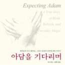 아담 이미지