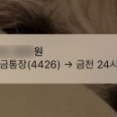 금천 24시 K동물의료센터 이미지