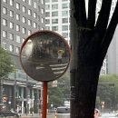 참성심약국 이미지