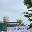 [양평] 서울근교 드라이브코스_두물머리 핫도그(주차방법, 공휴일 방문 후기)