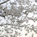 스페셜한 홈 디저트카페 이미지