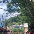 작은영토 별관 이미지