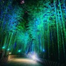 울산은하수