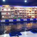 놀이터 실내낚시카페 이미지