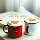 가빈라이브 이미지