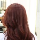 오렌지헤어아트 이미지