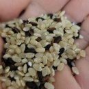 오진아 농촌치유농장 이미지